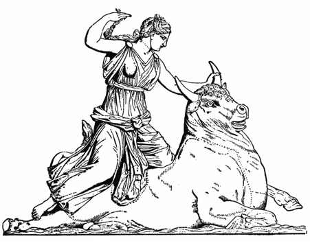 axe6taxonomygenreeurope