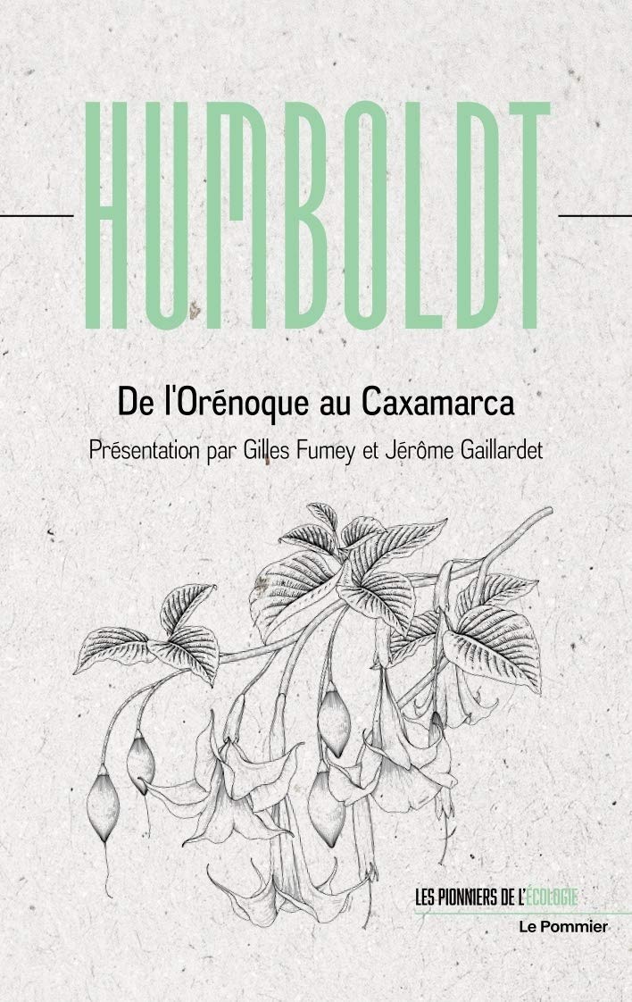 orenoque